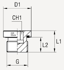 BSP с внутренним шестигранником, уплотнение тип Е