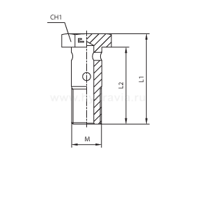 Фитинги для РВД BANJO BOLT метрические