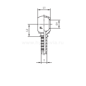 Фитинги для РВД BANJO метрические