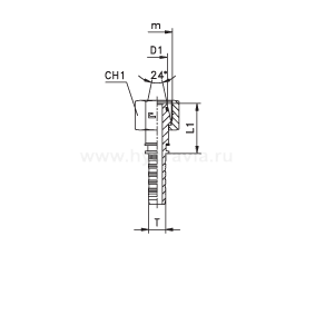 DKO-L/DKO-S внутренняя резьба, накидная гайка - конус 24° с O-RING - ISO 8434-1 (DIN 2353)