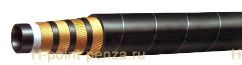 VERSO ANTARCTIC 4SH EN 856