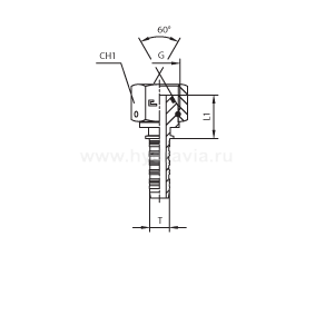 BSP внутренняя резьба фиксир. накидная гайка - конус 60° O-RING - ISO 8434-6 (BS 5200)